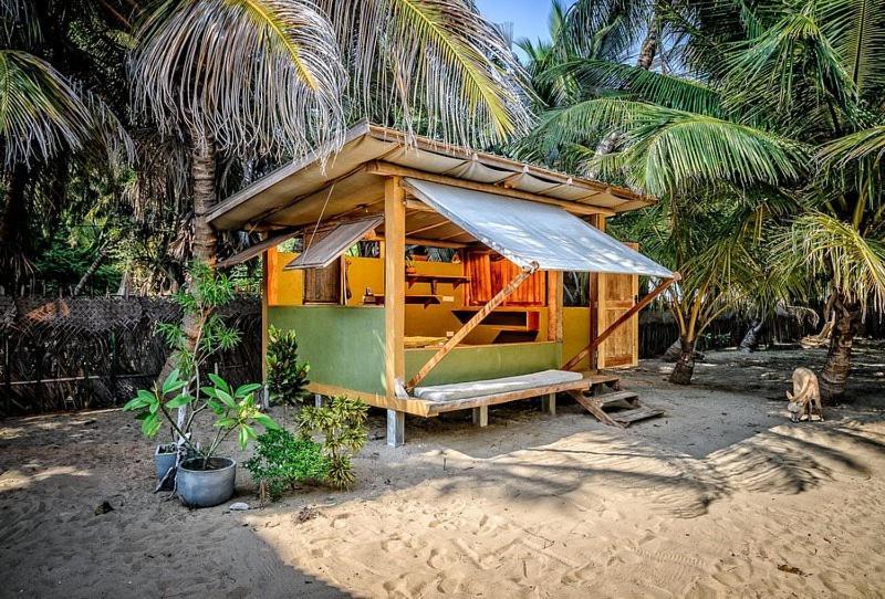 Kite House Cafe Bed & Breakfast Kalpitiya Dış mekan fotoğraf