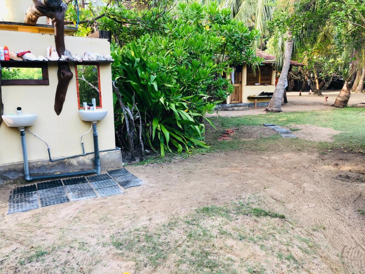 Kite House Cafe Bed & Breakfast Kalpitiya Dış mekan fotoğraf